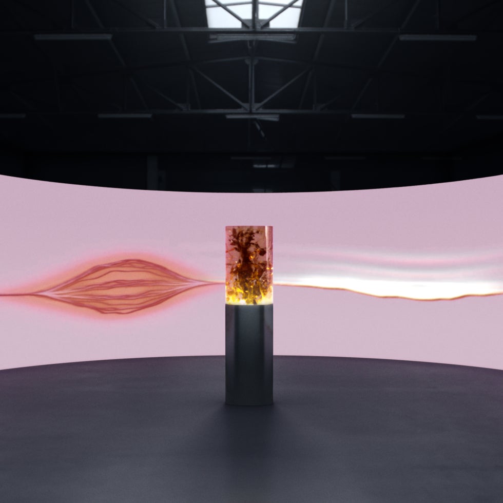 ペリエ ジュエ x Tokyo Gendai | ペリエ ジュエ